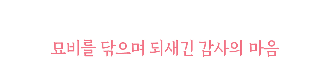 따뜻한하루